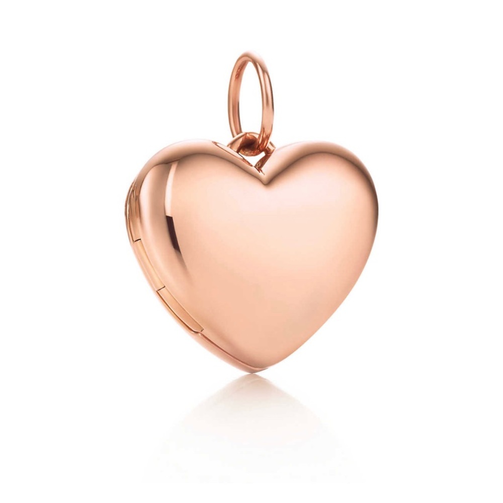 Brand New Heart locket pendant